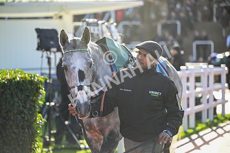 251025-Race 3-Hyland-7960 - Race 3