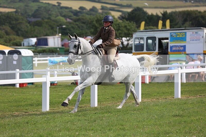 JPP_4274 - Class 25: Working Show Horse
