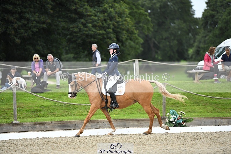 230812-123952-04185 - Cls 6 Novice Silver 12.10 to End