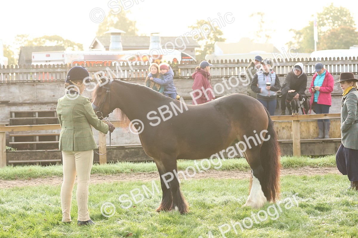 SBM_54522 - S38 - Starters Best Turnout
