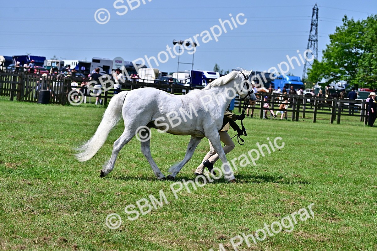 SBM_03900 - Class 58 - TSR  Ridden Veteran Amateur of the year