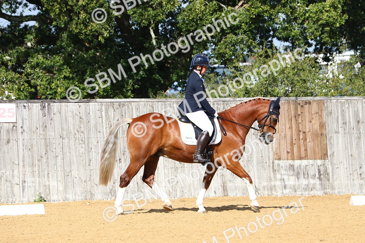 SBM_18293 - D31 - Grand Tour PYO Open .