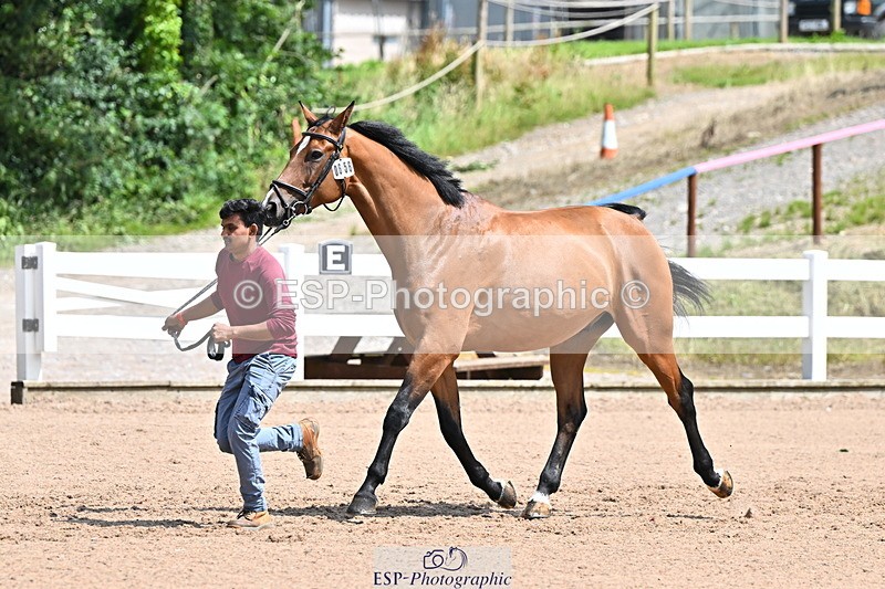240718A-105246-01133 - Trot Up 12pm to 1pm