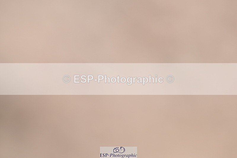 240622A-110015-08415 - Cls 31 BD Music Elementary