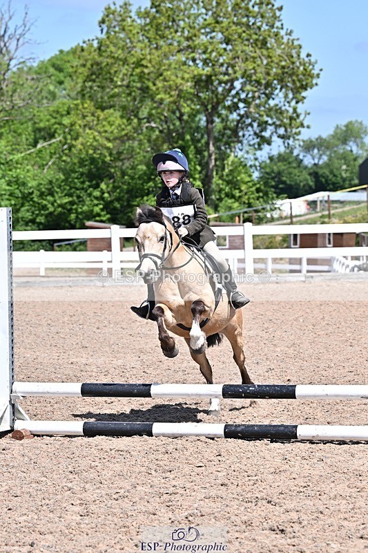 250517-120211-01069 - 40cm