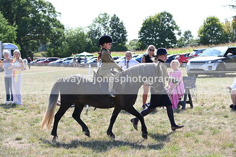 WJ6_7798 - Class 36 Lead Rein