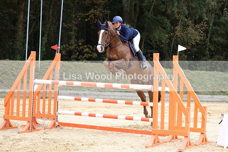 3E7A3356 - Class 9: Senior Foxhunter/1.20 open