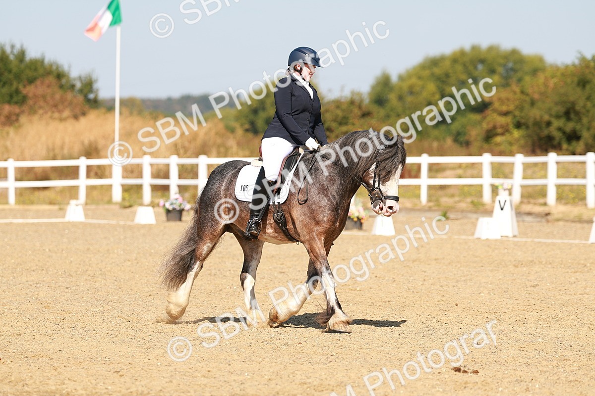 SBM_017770 - Class 9 - N5 Bronze 10.33.11.36