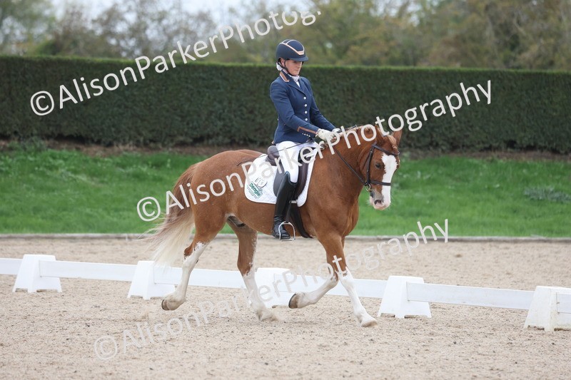 20251011-0412 - Class 4 - Novice 2