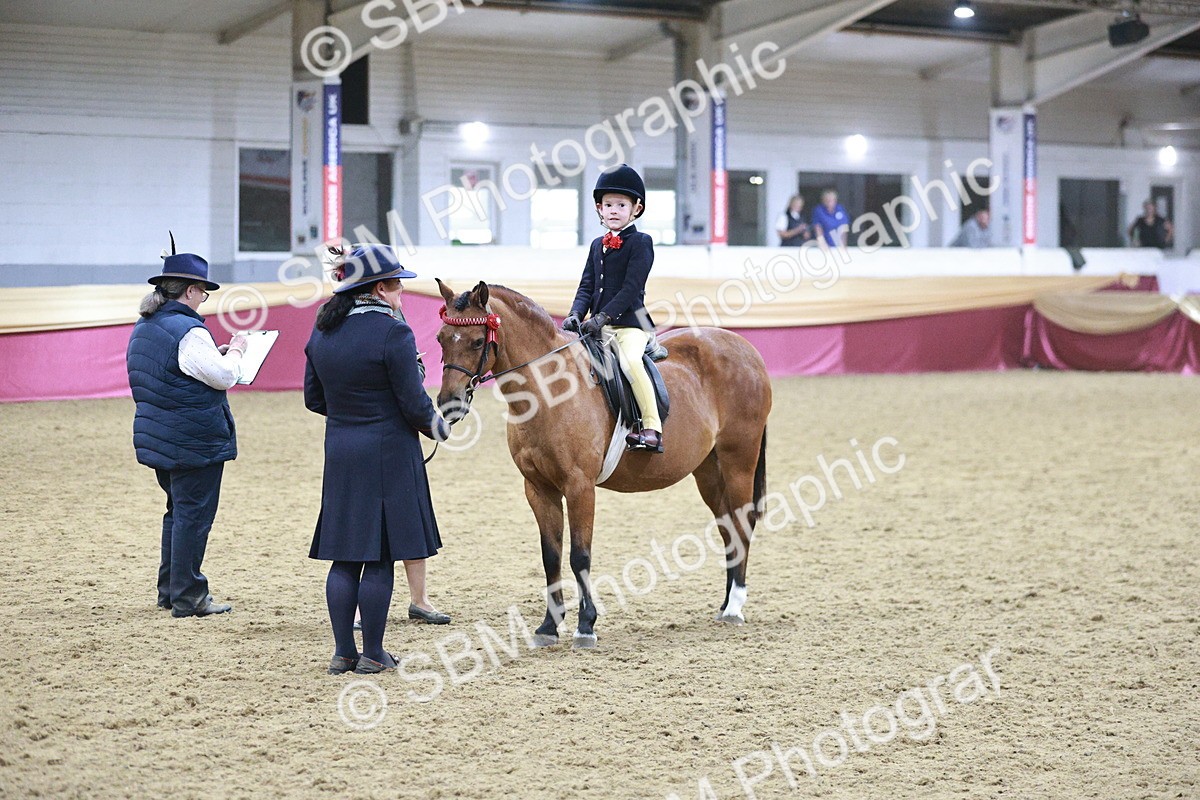 SBM_08071 - Class 11R - Regional Ridden Veteran