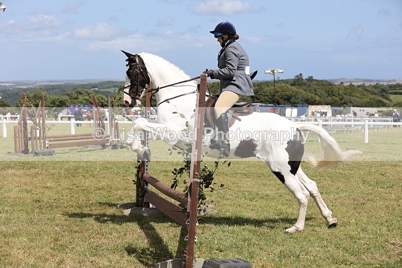 JPP_2205 - Class 19: Working Hunter 60cm