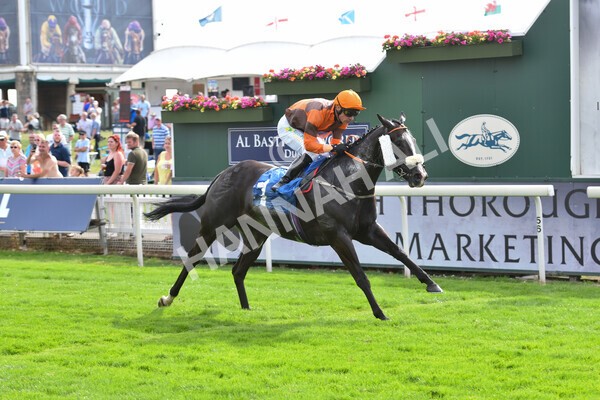 yr08072022r6-19 - Race 6 5.00pm Irish Thoroughbred Marketing Stakes