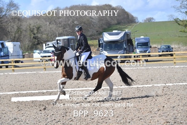 BPP_9623 - NOVICE 6
