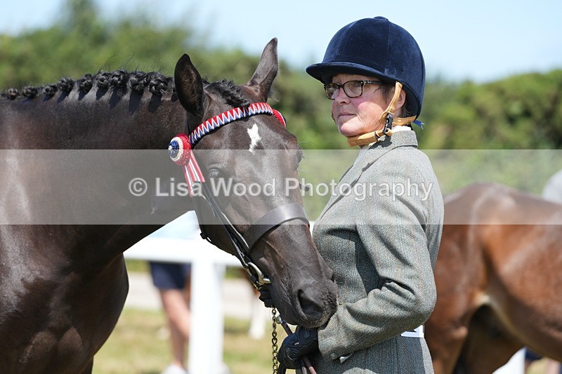 DSC06275 - Class 54: Hunter/Riding Horse/Hack 1 & 2 yr olds