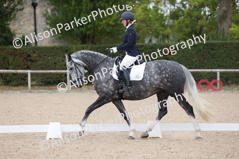 20250820-0947 - Class 16 - Novice 5