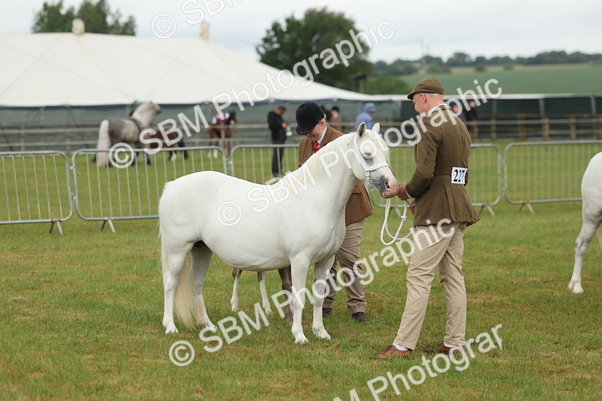 SBM_01608 - Class 50-57 - M&M Welsh Pony In Hand