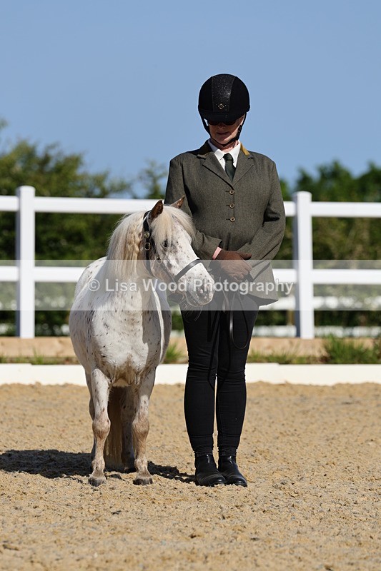 1X9A0687 - Class 3: Youngstock 1, 2, 3 year old not to exceed 153cm
