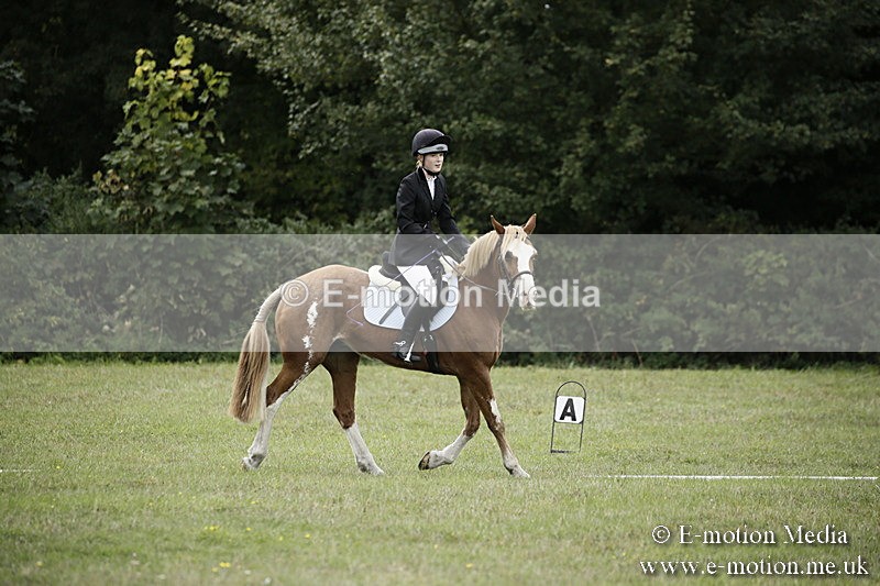 BVR080918 77 - BVRC Novice Dressage & CR 08/09/18