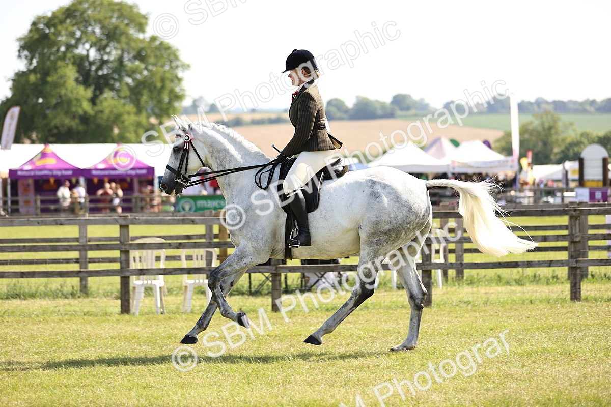 SBM_12923 - Class 75-76 LIHS BSHA Rising Star Hack Riding Horse