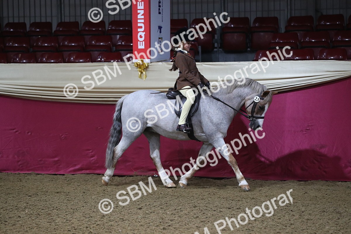 SBM_09253 - Class 101 Equitation (best rider), Junior