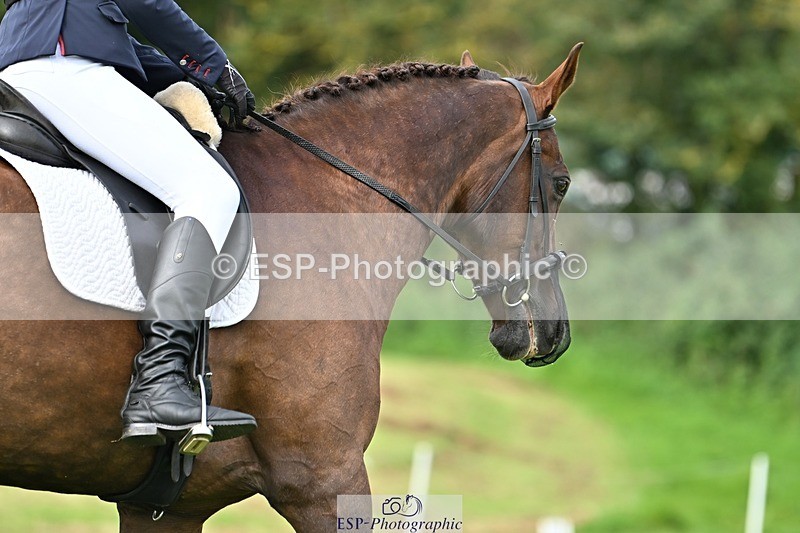 230826-100437-16356 - Sections A & B 10 to End