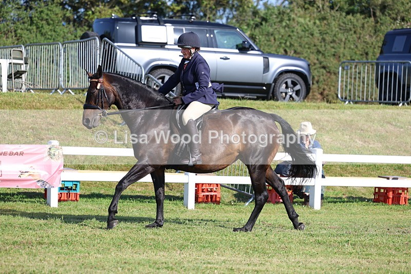 3E7A5478 - Class 2: Rising Star Large Hack/Riding Horse