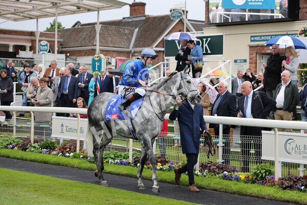 yr11052022r1-9 - Race 1 1.50pm Sky Bet Race to the Ebor Jorvik Stakes