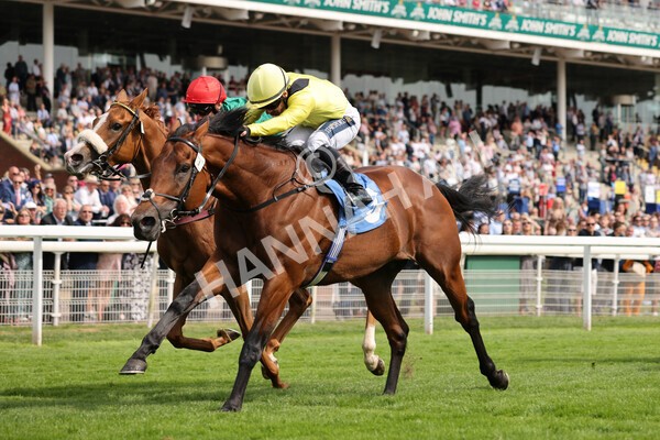 yr08072022r5-15 - Race 5 4.25pm Azets Stakes