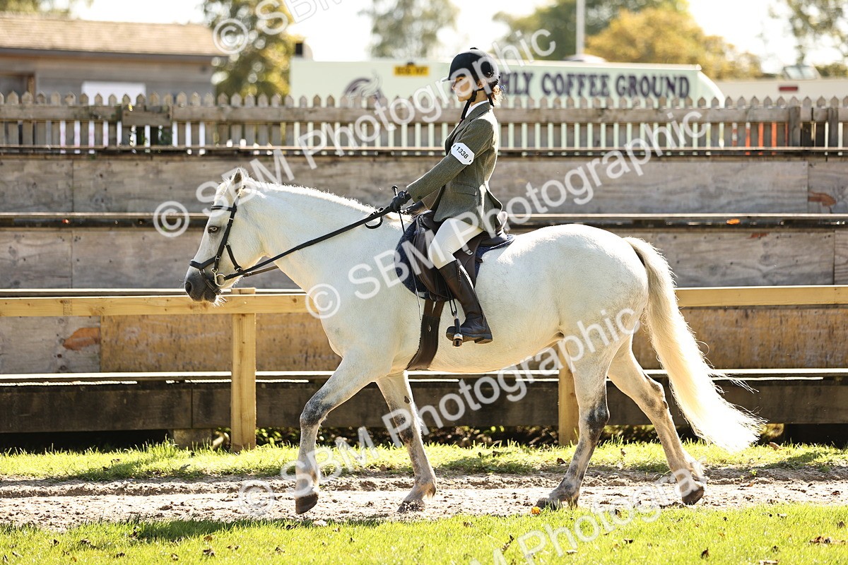SBM_19090 - S3 - TSR Ridden Pony Showing