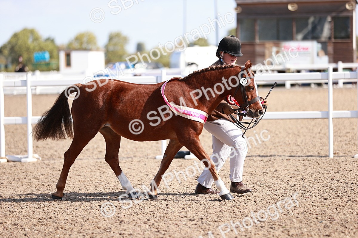 SBM_22737 - Class 704 - IH  Rescue
