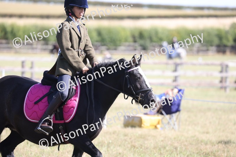 20260906-2176 - Class 16 - Family Pony
