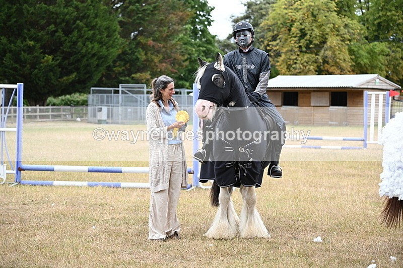 WJ6_9027 - Class 11 Fancy Dress