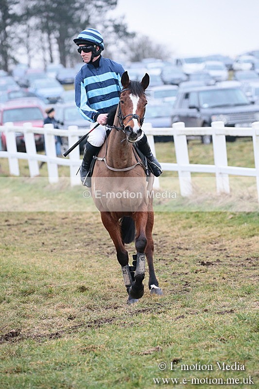 PtP 170219 -388 - Combined Services Point-To-Point Larkhill 17/02/19