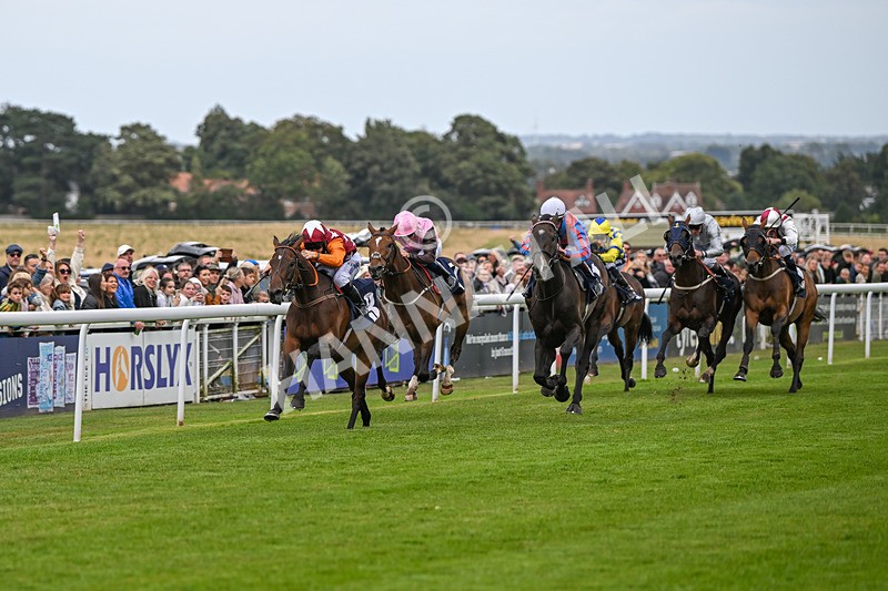 250824-Race 5-Lincoln Rockstar-3650 - Race 5