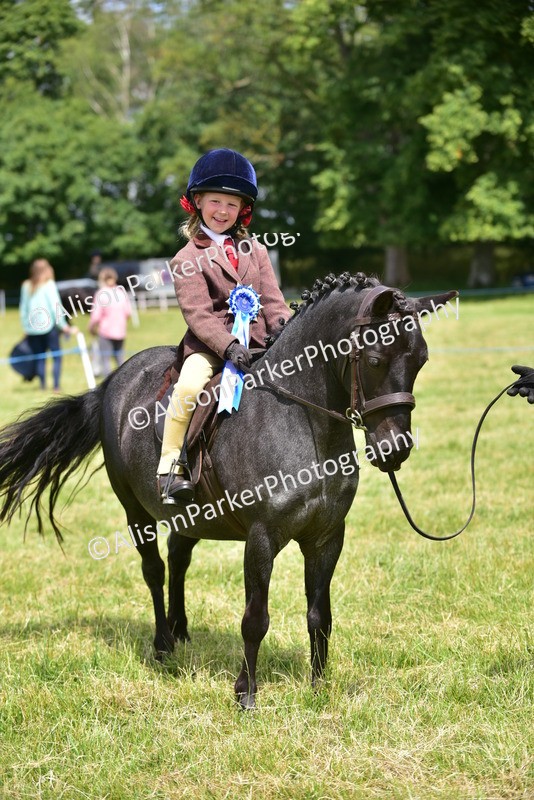 20260614-1403 - Class 11b - Lead Rein Pony (Plaited)