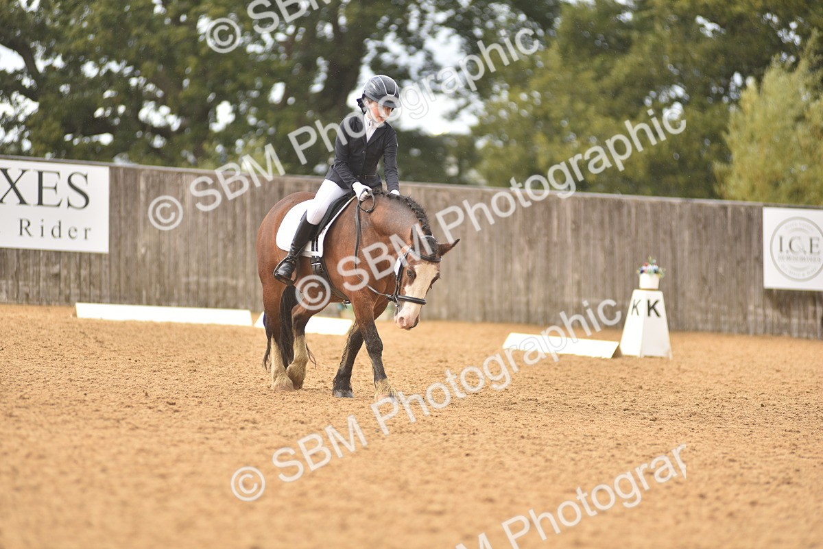 SBM_42528 - D22 - Junior Championship Intro 3
