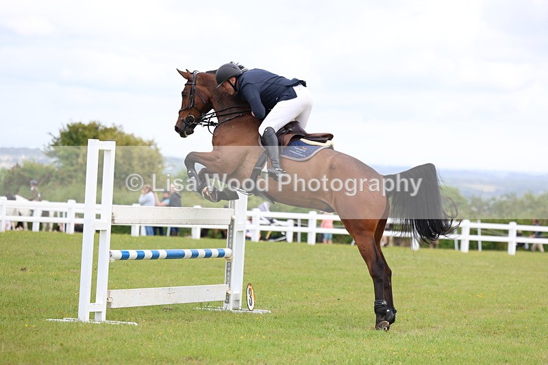 3E7A7147 - Class 12: Senior Foxhunter/1.20 open