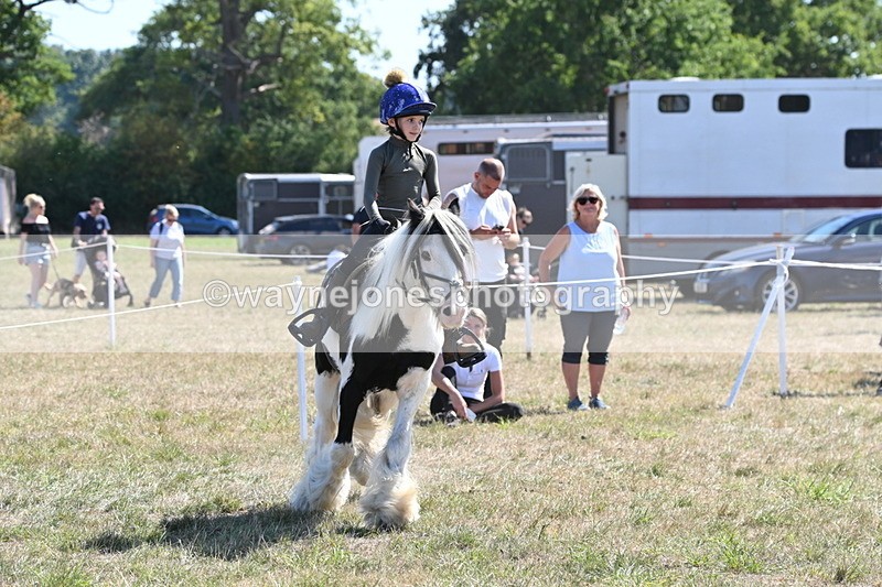 WJ6_8942 - Class 38 Ridden Riding Horse/Pony