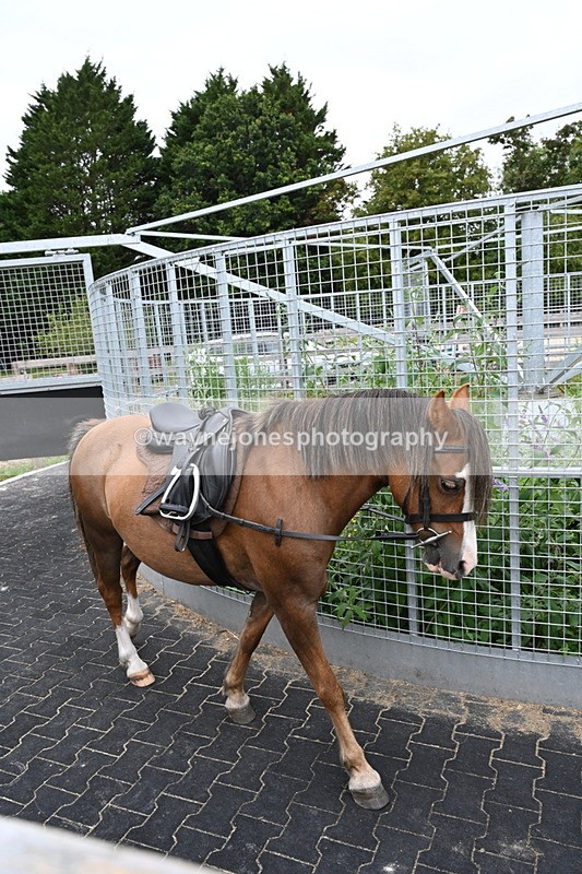 WJ6_2951 - Berks & Bucks - The Old farmhouse - Hound Exercise 20-08-25