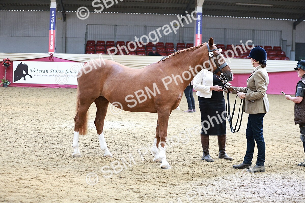 SBM_04792 - Class 7R - Regional IH Diamond