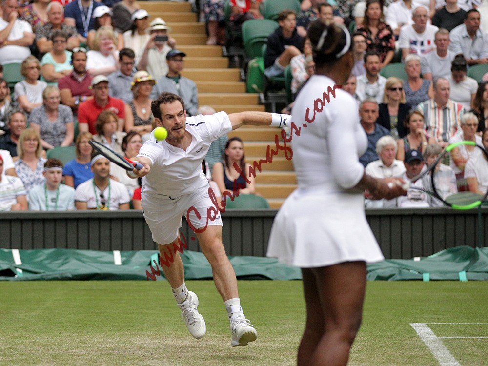 AF0I0161 - Wimbledon