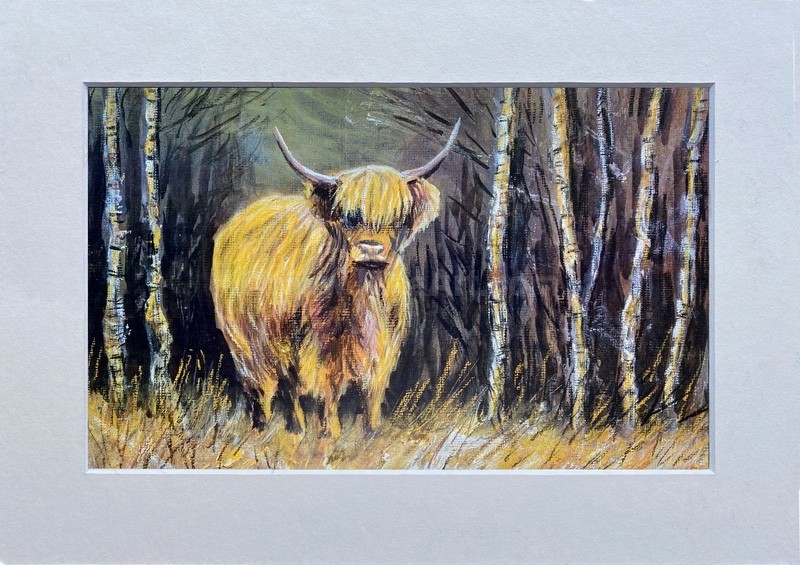 Another Heilan Coo ! - Simply Scottish