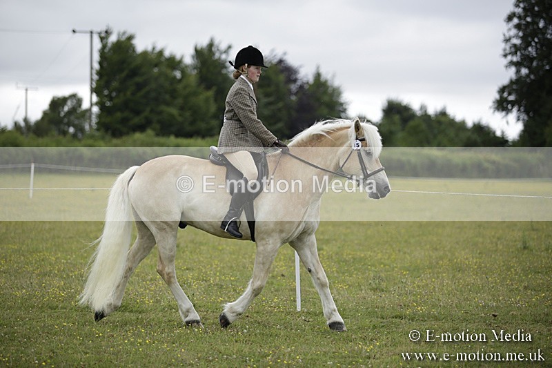 BVR160717-1511 - Ring 1 BVRC Show 16/07/17