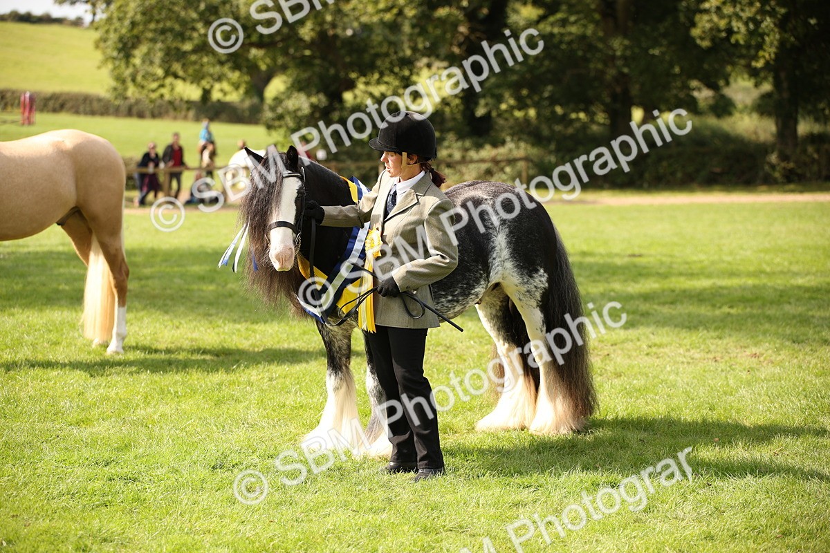 SBM_62964 - In Hand Horse Supreme Championship