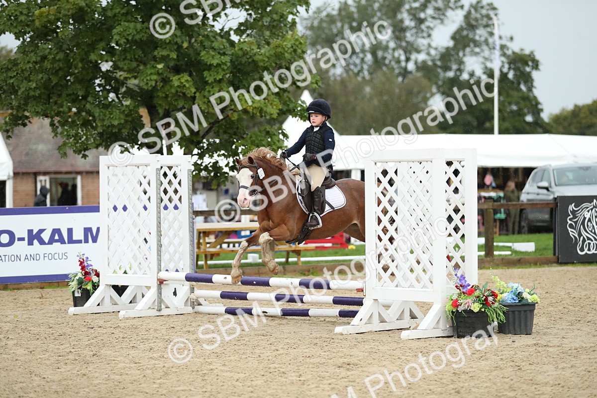 SBM_34523 - J60 Clear Round 50cm