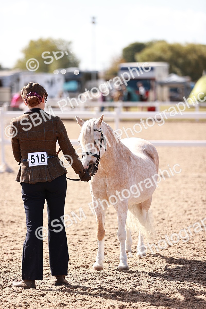 SBM_22914 - Class 706 - IH Veteran
