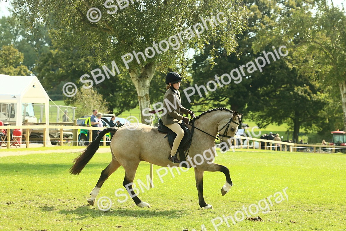 SBM_67628 - S56 - Coloured Pony Ridden