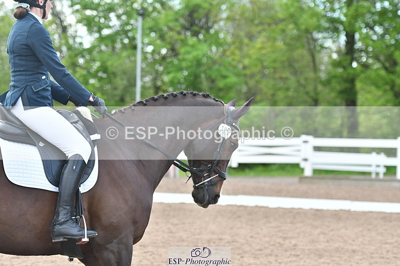 230511A-171658-01510 - Quest Cls 9 Novice