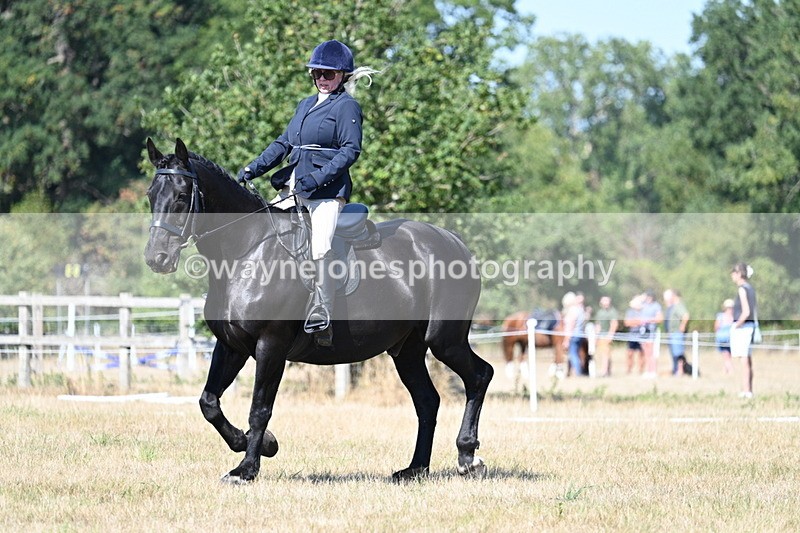 WJ7_9894 - Time 11:03 to 11:28