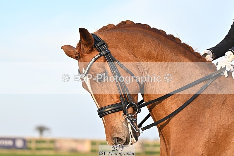 250404-190002-08764 - 195-Sarah.Millis-Impressive.VDC